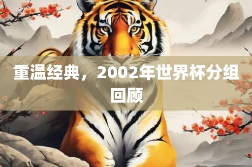 重温经典，2002年世界杯分组回顾