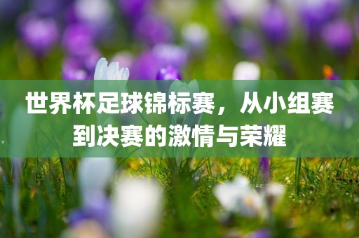 世界杯足球锦标赛，从小组赛到决赛的激情与荣耀眉山市正发家政服务有限公司