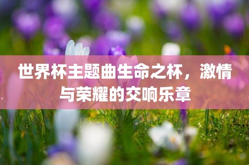 世界杯主题曲生命之杯，激情与荣耀的交响乐章