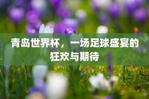 青岛世界杯，一场足球盛宴的狂欢与眉山市正发家政服务有限公司期待