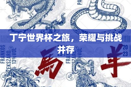丁宁世界杯之旅，荣耀与挑战并存眉山市正发家政服务有限公司