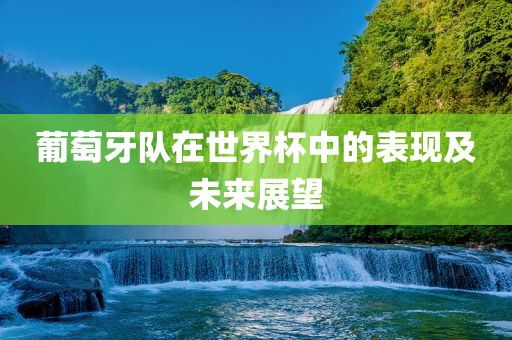 葡萄牙队在世界杯中的表现及未来展望眉山市正发家政服务有限公司