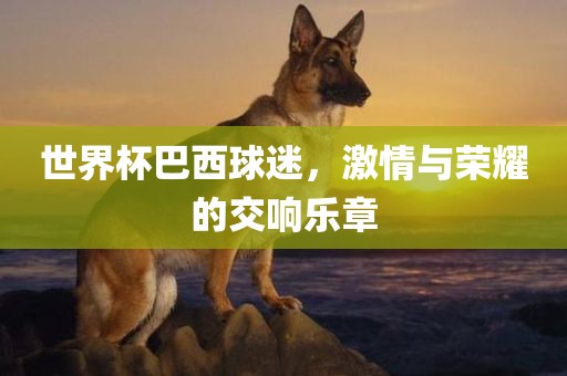 世界杯巴西球迷，眉山市正发家政服务有限公司激情与荣耀的交响乐章
