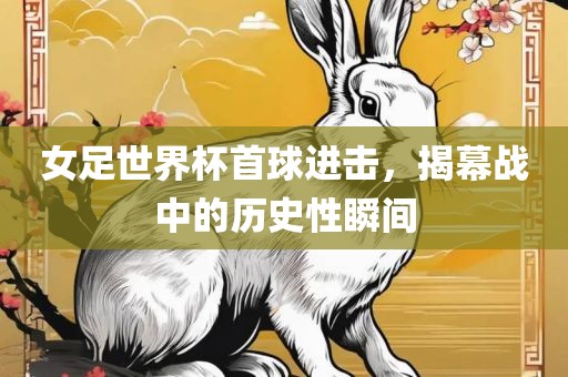 女足世界杯首球进击，揭幕战中的历史性瞬间眉山市正发家政服务有限公司