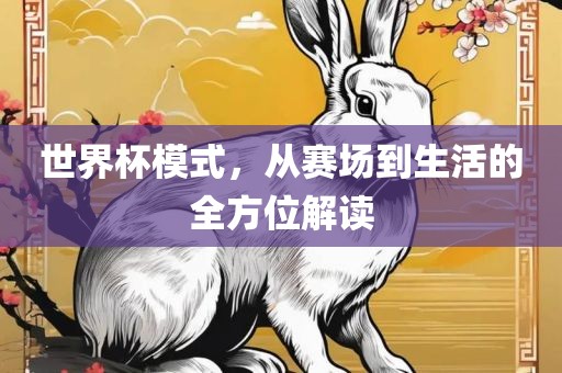 世界杯模式，从赛场到生活的全方位解读