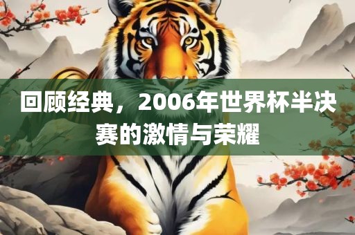 回顾经典，2006年世界杯半决赛的激情与荣耀
