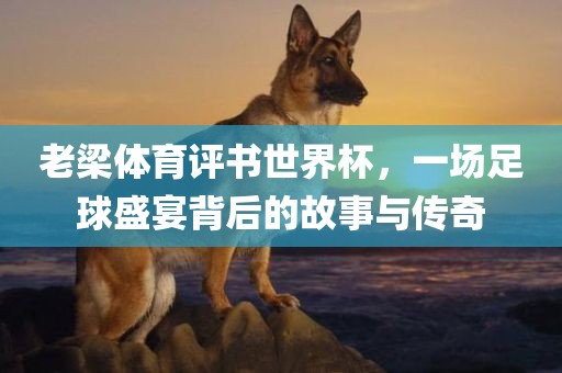 老梁体育评书世界杯，一场足球盛宴背后的故事与传奇