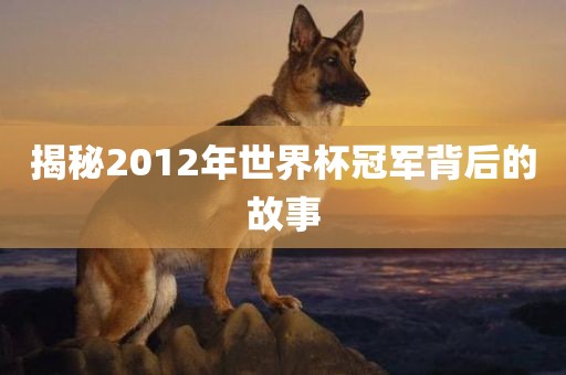 揭秘2012年世界杯冠军背后的故事眉山市正发家政服务有限公司