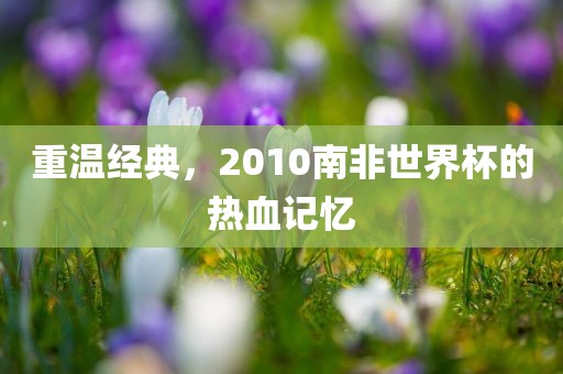 重温经典，2010南非世界杯的热血记忆