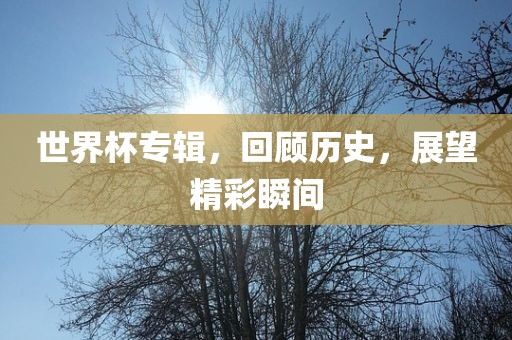 世界杯专辑，回顾历史，展望精彩瞬间眉山市正发家政服务有限公司
