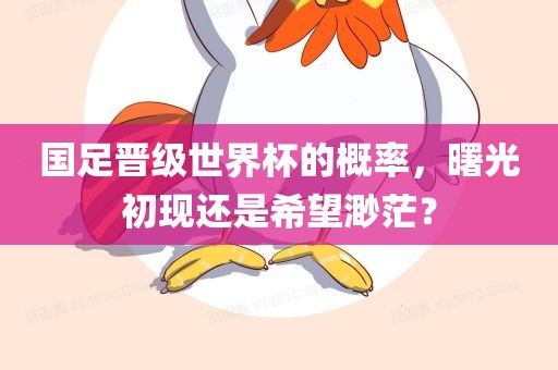 国足晋级世界杯的概率，曙光初现还是希望渺茫？眉山市正发家政服务有限公司
