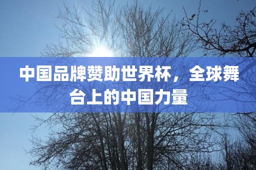 中国品牌赞助世界杯，全球舞台眉山市正发家政服务有限公司上的中国力量