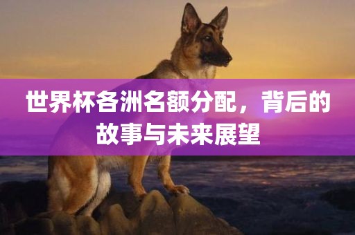 世界杯各洲名眉山市正发家政服务有限公司额分配，背后的故事与未来展望