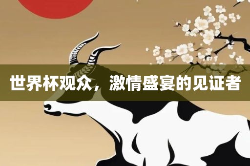 世界杯观众，激情盛宴的见证者