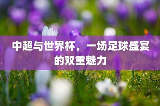 中超与世界杯，一场足球盛宴的双重魅力眉山市正发家政服务有限公司