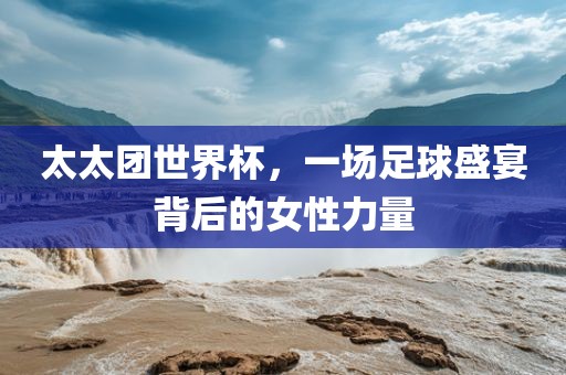 太太团世界杯，一场足球盛宴背后的女性力量眉山市正发家政服务有限公司