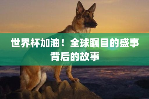 caiyahui 第5页
