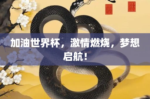 加油世界杯，激情燃烧，梦想启航！眉山市正发家政服务有限公司