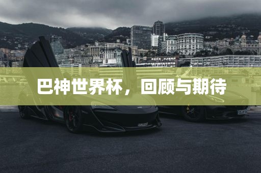 巴神世界杯，回顾与期待眉山市正发家政服务有限公司