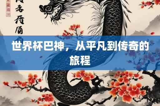 世界杯巴神，从平凡眉山市正发家政服务有限公司到传奇的旅程