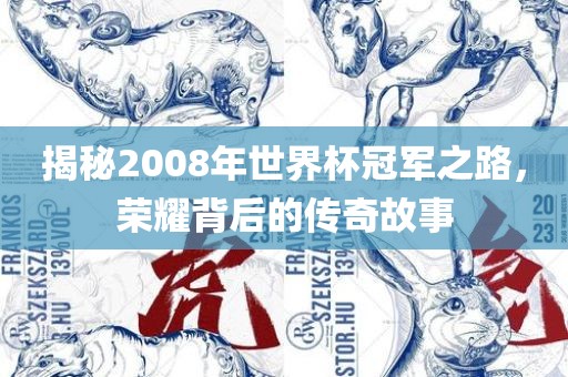 揭秘2008年世界杯冠军之路，荣耀背后的传奇故事眉山市正发家政服务有限公司
