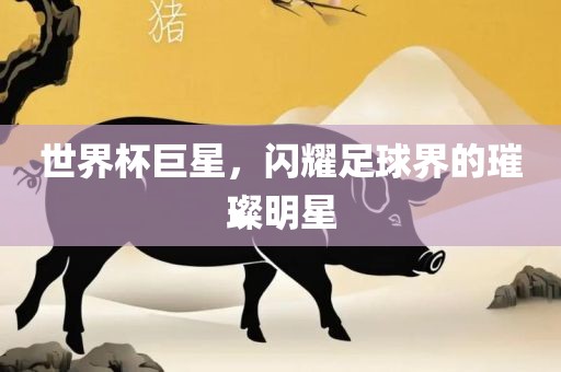 世界杯巨星，闪耀足球界眉山市正发家政服务有限公司的璀璨明星