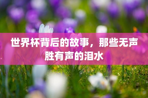 世界杯背后的故事，那些无声胜有声的泪水眉山市正发家政服务有限公司