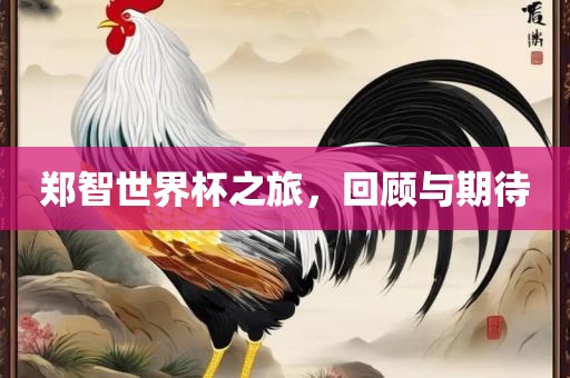 郑智世界杯之旅，回顾与期待