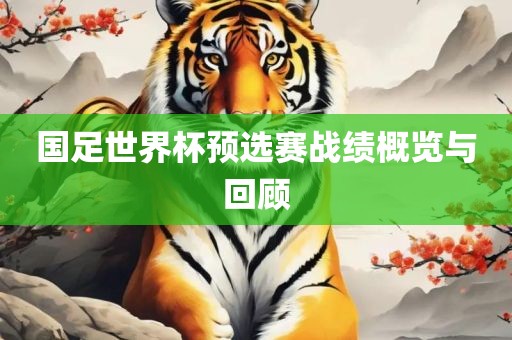 国足世界杯预选赛战绩概览与回顾