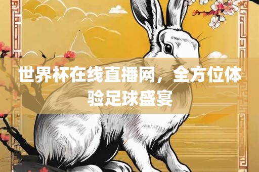 世界杯在线直播网，全方位体验足球盛宴