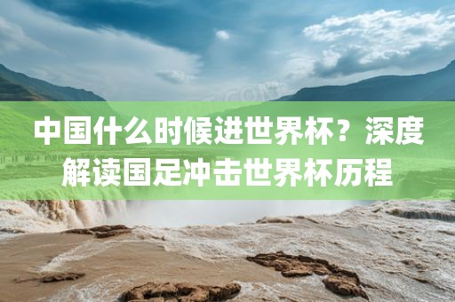中国什么时候进世界杯？深度解读国足冲击世界杯历程眉山市正发家政服务有限公司