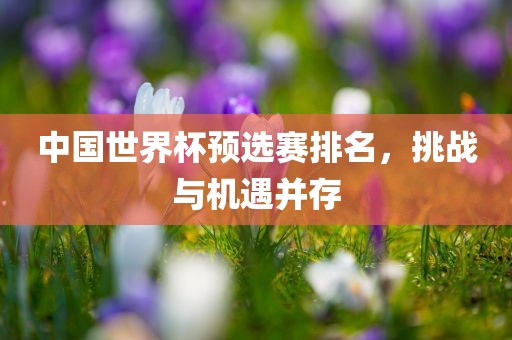中国世界杯预选赛排名，挑战与机遇并存