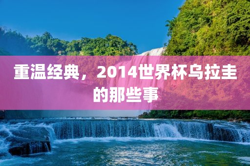 重温经典，2014世界杯乌拉圭的那些事眉山市正发家政服务有限公司