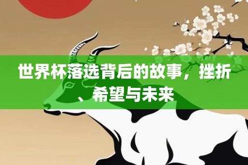 世界杯落选背后的故事，挫折、希望与未来