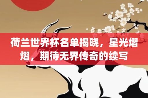 荷兰世界杯名单揭晓，星光熠熠，期待无界传奇的续写眉山市正发家政服务有限公司