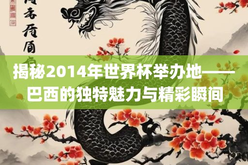 揭秘2014年世界杯举办地——巴西的独特魅力与精彩瞬间眉山市正发家政服务有限公司