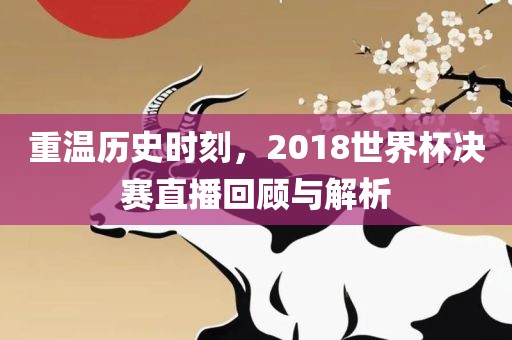 重温历史时刻，2018世界杯决赛眉山市正发家政服务有限公司直播回顾与解析