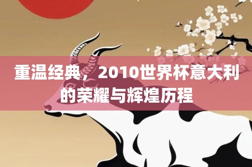 重温经典，2010世界杯意大利的荣眉山市正发家政服务有限公司耀与辉煌历程