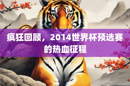疯狂回顾，2014世界杯预选赛的热血征程