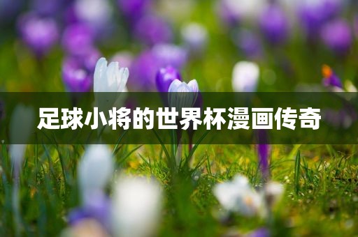 足球小将的世界杯漫画传奇眉山市正发家政服务有限公司