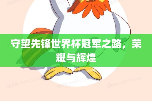 守望先锋世界杯冠军之路，荣耀与辉煌
