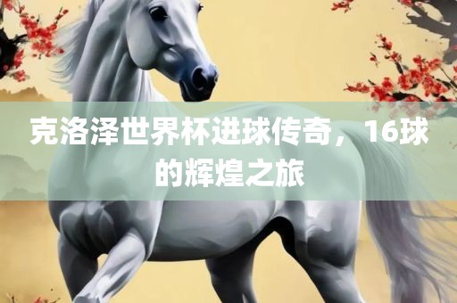 克洛泽世界杯进球传奇，16球的辉煌之旅眉山市正发家政服务有限公司