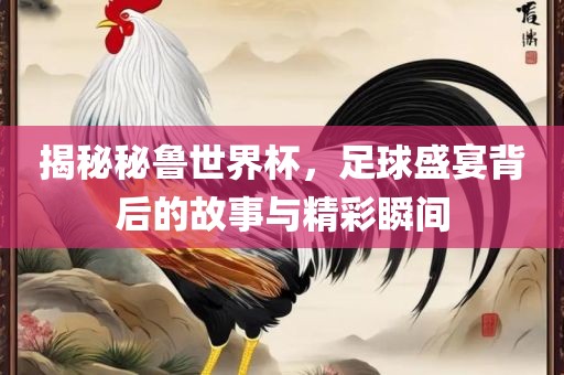 揭秘秘鲁世界杯，足球盛宴背后的故事与精彩瞬间眉山市正发家政服务有限公司