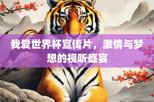 我爱世界杯宣传片，激情与梦想的视听盛眉山市正发家政服务有限公司宴
