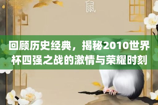 回顾历史经典，揭秘2010世界杯四强之战的激情与荣耀时刻