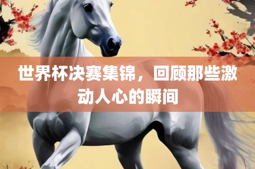 世界杯决赛集锦，回顾那些激动人心的瞬间眉山市正发家政服务有限公司