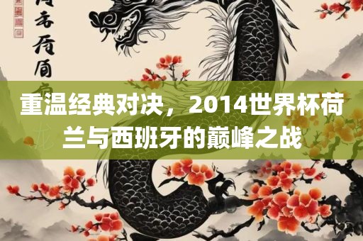 重温经典对决，2014世界杯荷兰与西班牙的巅峰之战眉山市正发家政服务有限公司