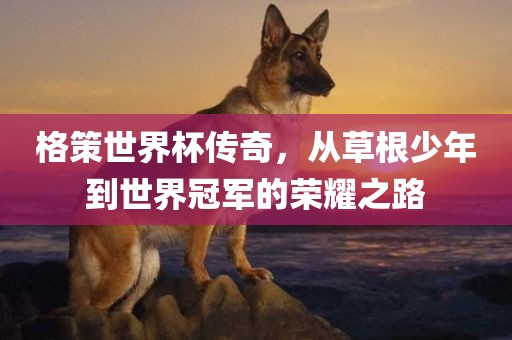 格策世界杯传奇，从草根少年到世界冠军的荣耀之路眉山市正发家政服务有限公司