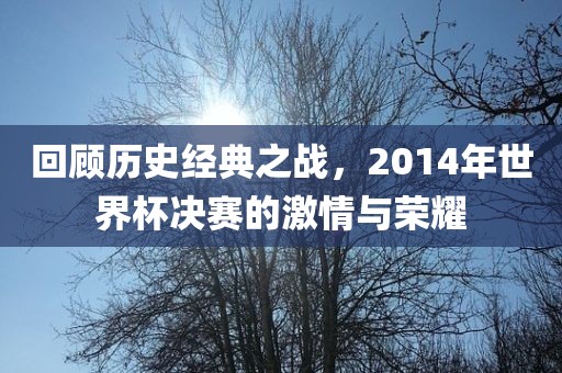 回顾历史经典之战，2014年世界杯决赛的激情与荣耀