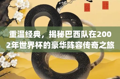 重温经典，揭秘巴西队在2002年世界杯的豪华阵容传奇之旅眉山市正发家政服务有限公司